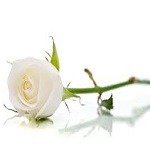 Photo de Mireille BOUIN