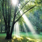 Photo de Jean-Claude LECLÈRE