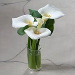 Photo de Jeanne QUIÉNOT